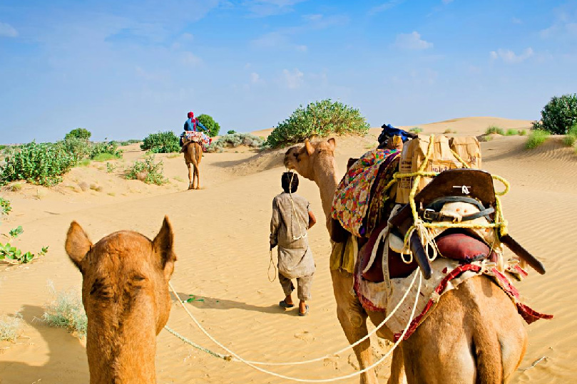 All the Basics About Traveling to Rajasthan