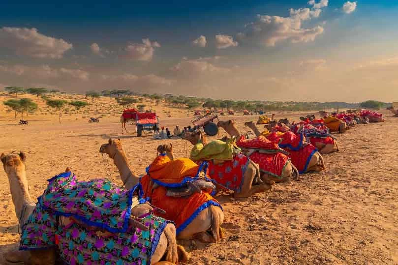Rajasthan Special Interest Tours